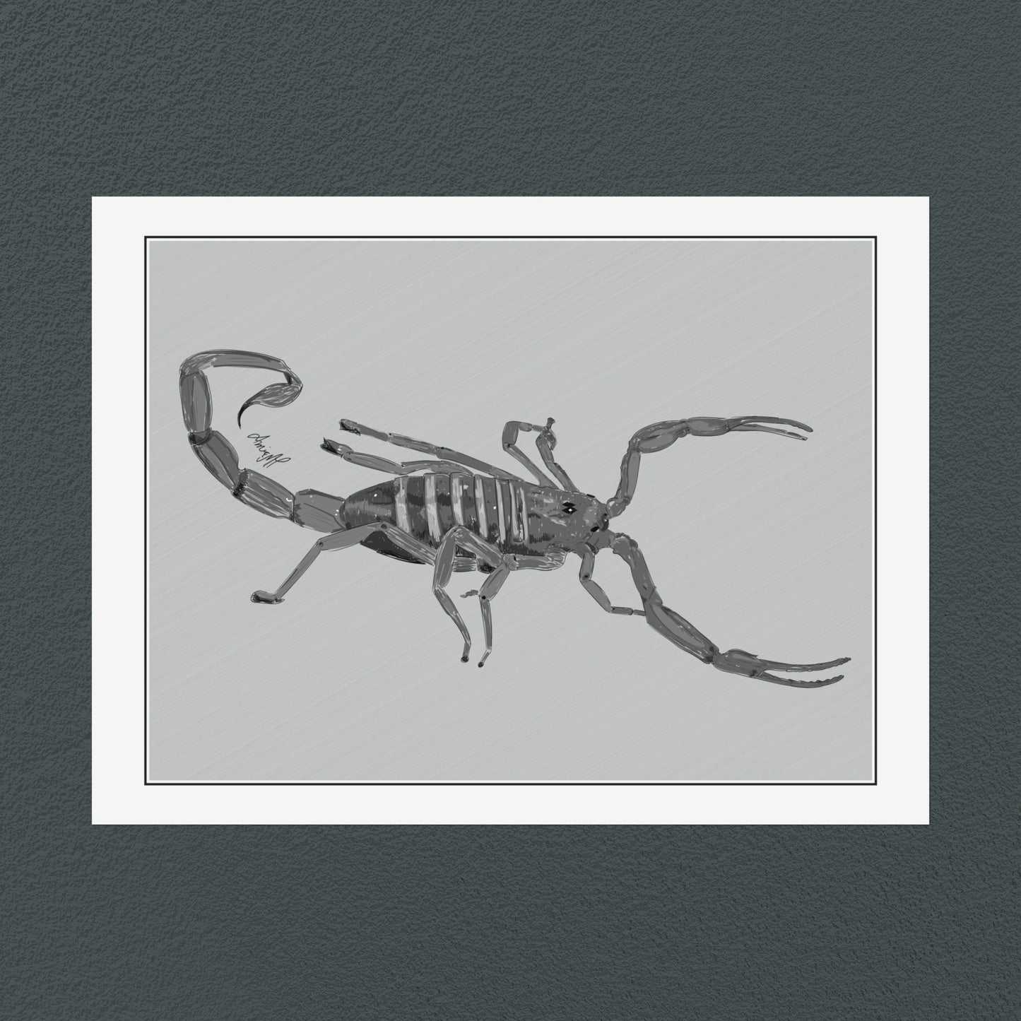 Line Art Insects - Bark Scorpion Art Print, available in 19 sizes