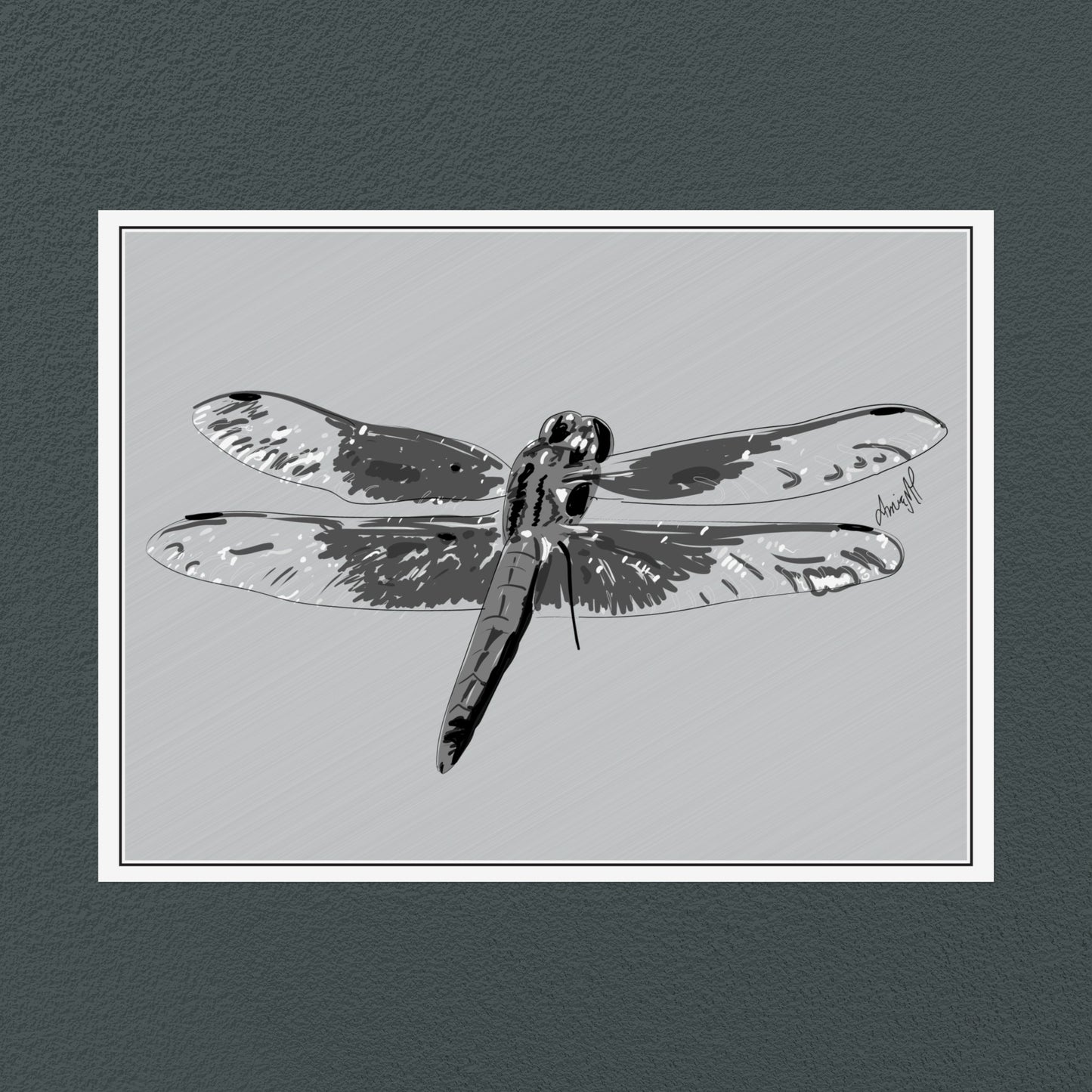 Line Art Insects - Dragonfly Art Print, available in 19 sizes