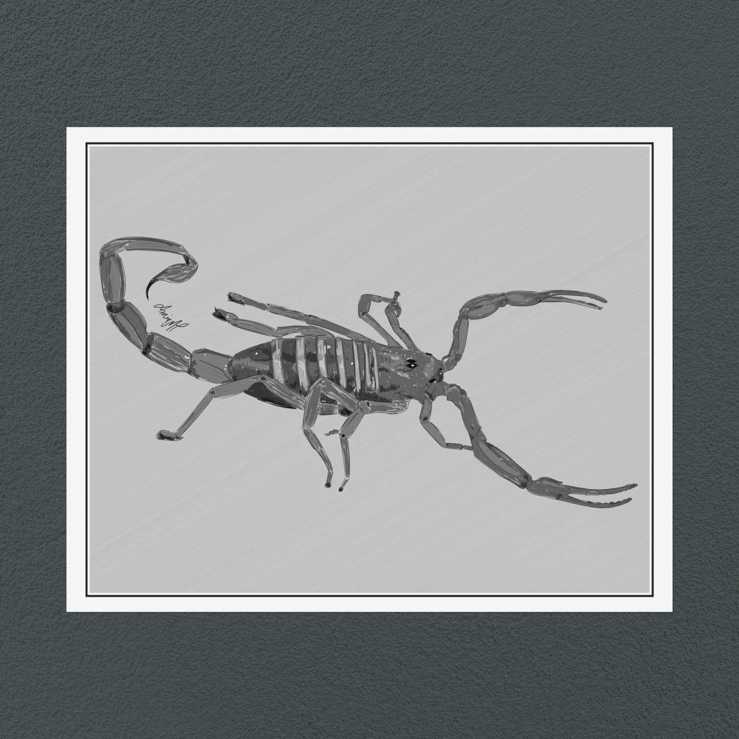 Line Art Insects - Bark Scorpion Art Print, available in 19 sizes