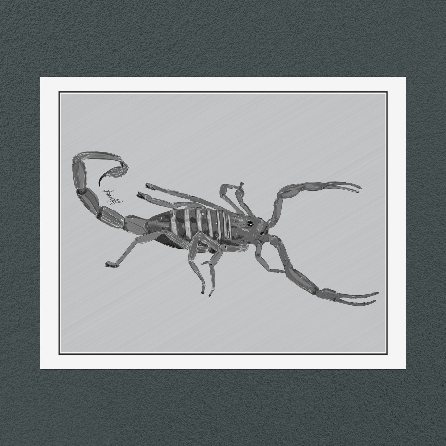 Line Art Insects - Bark Scorpion Art Print, available in 19 sizes