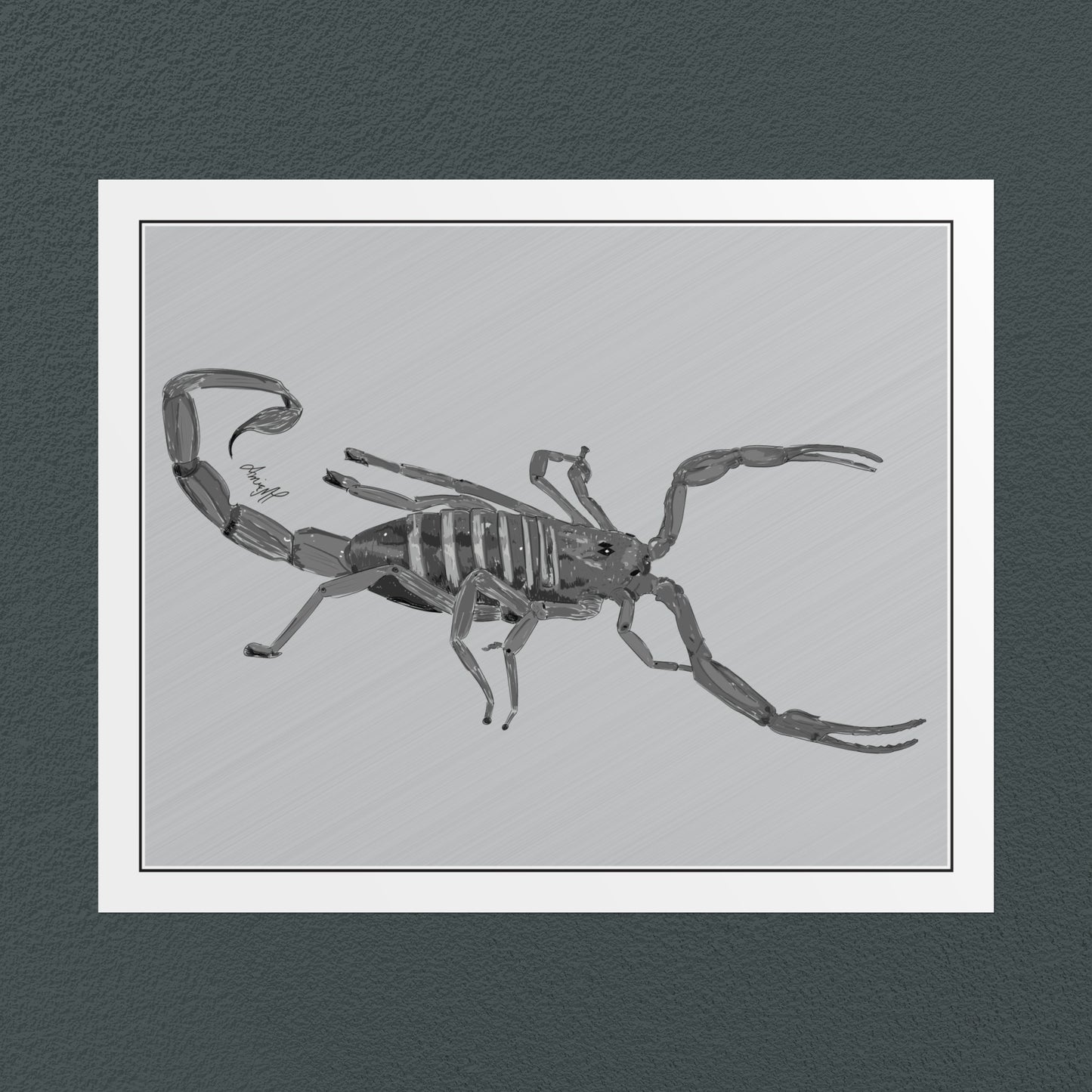 Line Art Insects - Bark Scorpion Art Print, available in 19 sizes