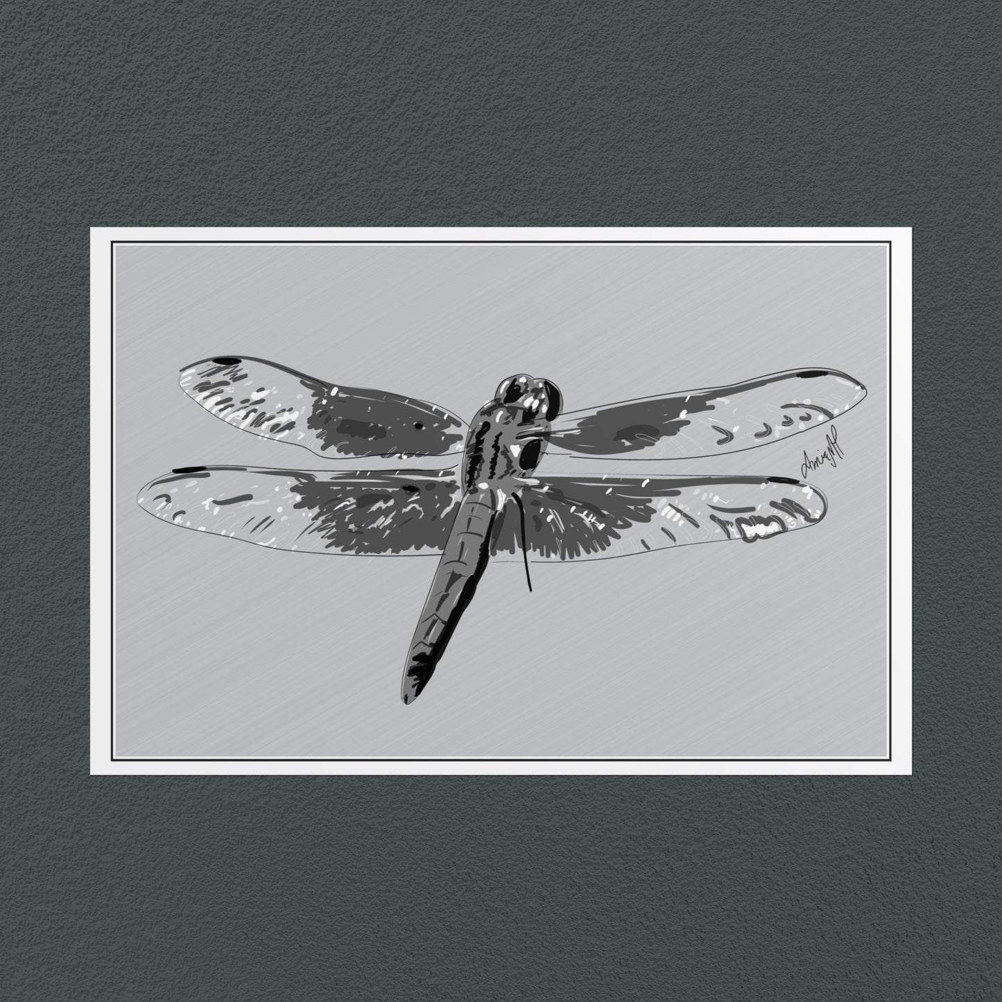 Line Art Insects - Dragonfly Art Print, available in 19 sizes