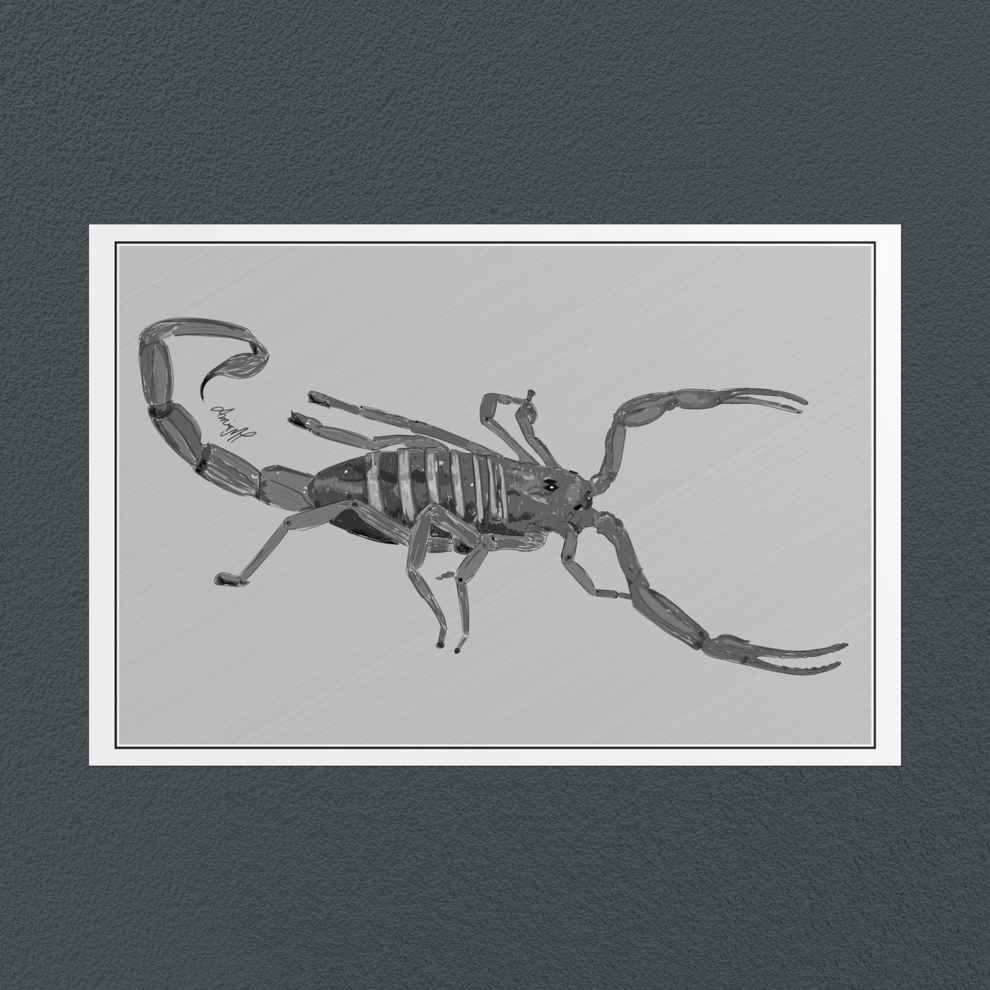 Line Art Insects - Bark Scorpion Art Print, available in 19 sizes