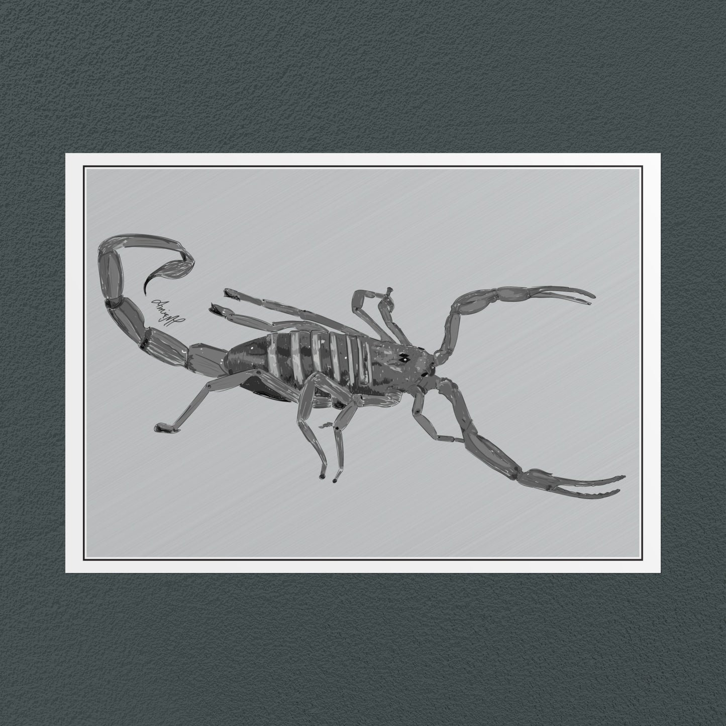 Line Art Insects - Bark Scorpion Art Print, available in 19 sizes