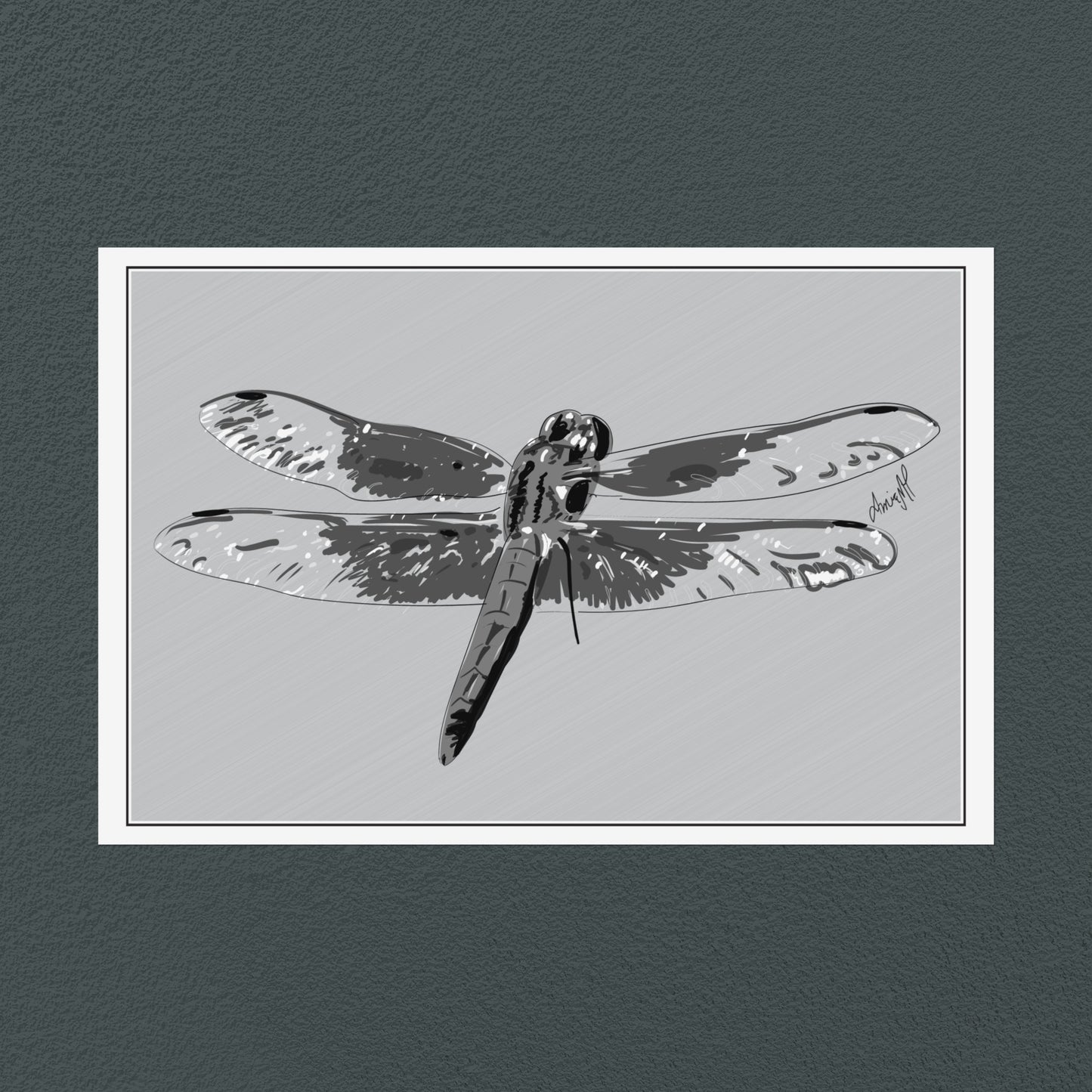 Line Art Insects - Dragonfly Art Print, available in 19 sizes