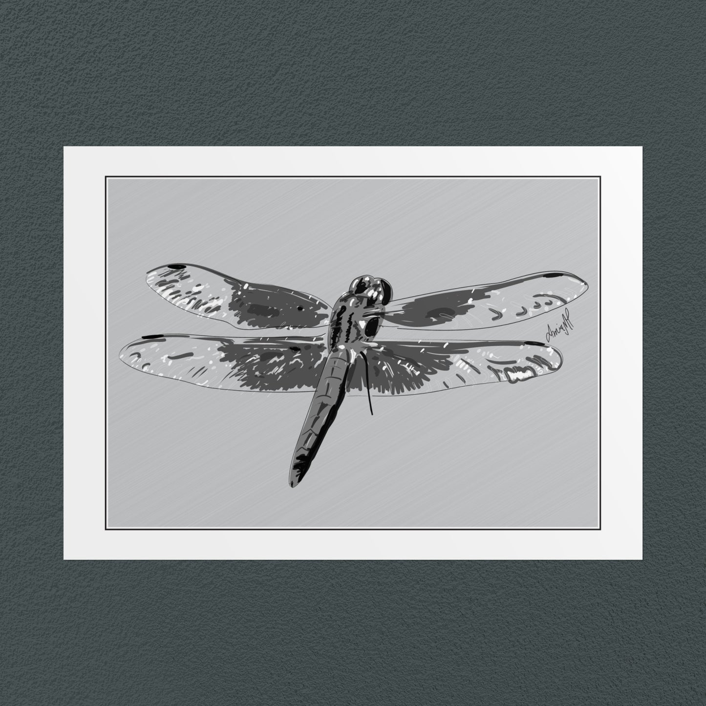 Line Art Insects - Dragonfly Art Print, available in 19 sizes