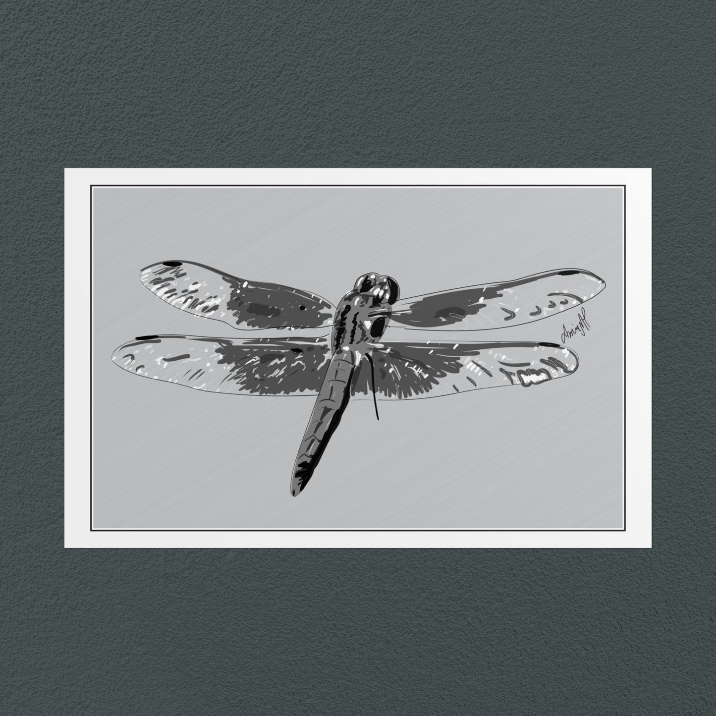 Line Art Insects - Dragonfly Art Print, available in 19 sizes