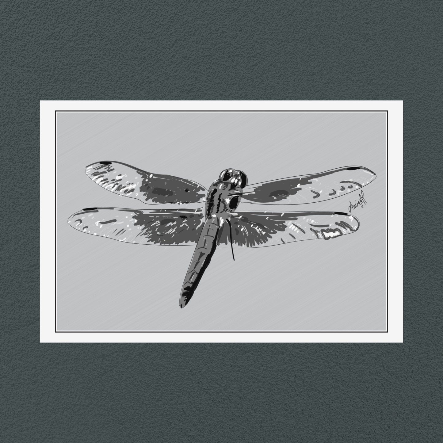 Line Art Insects - Dragonfly Art Print, available in 19 sizes