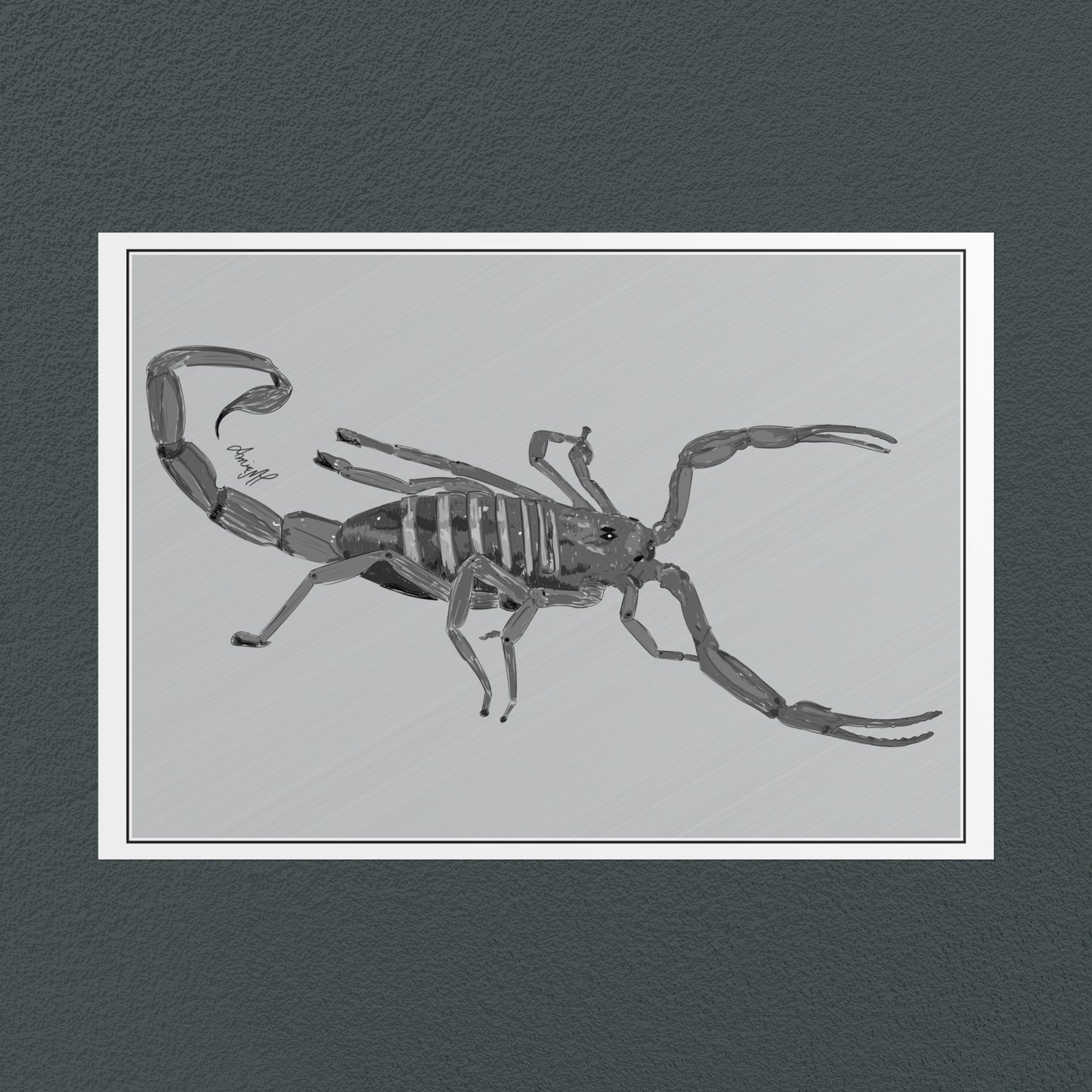 Line Art Insects - Bark Scorpion Art Print, available in 19 sizes