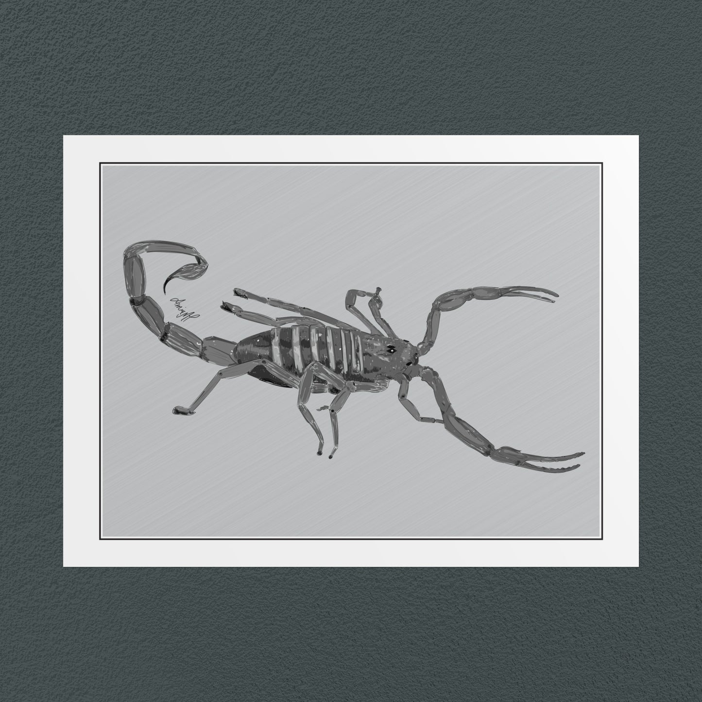 Line Art Insects - Bark Scorpion Art Print, available in 19 sizes