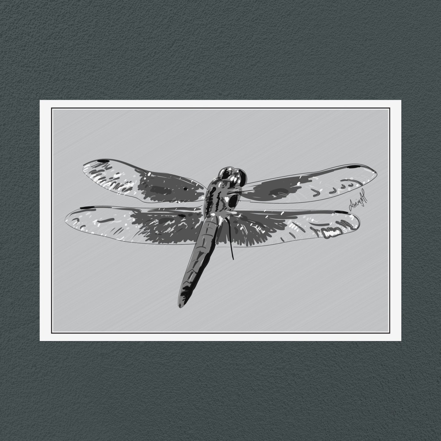 Line Art Insects - Dragonfly Art Print, available in 19 sizes