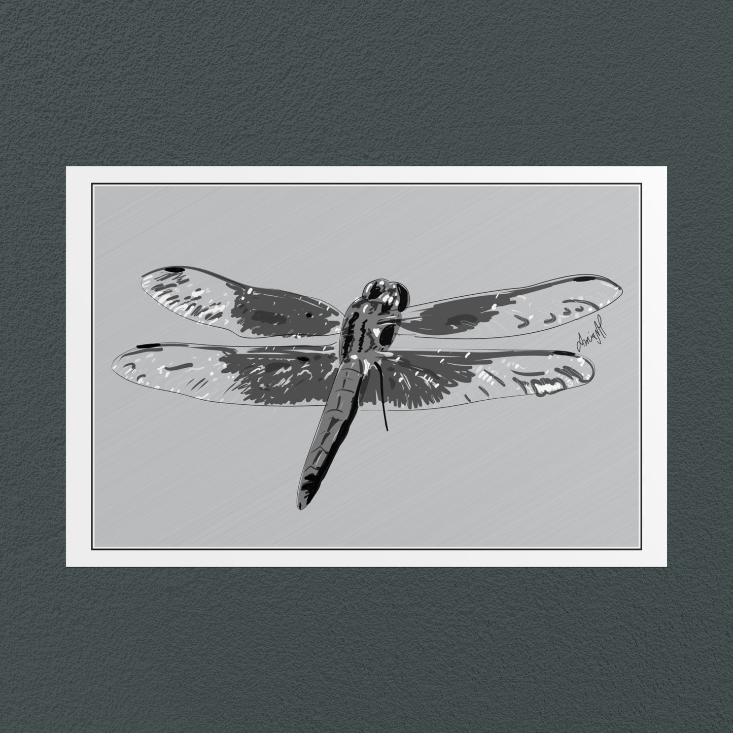 Line Art Insects - Dragonfly Art Print, available in 19 sizes