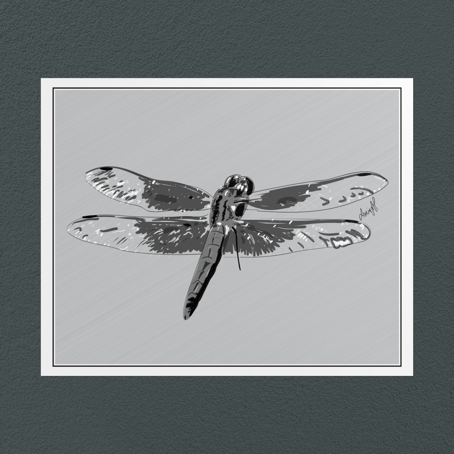 Line Art Insects - Dragonfly Art Print, available in 19 sizes