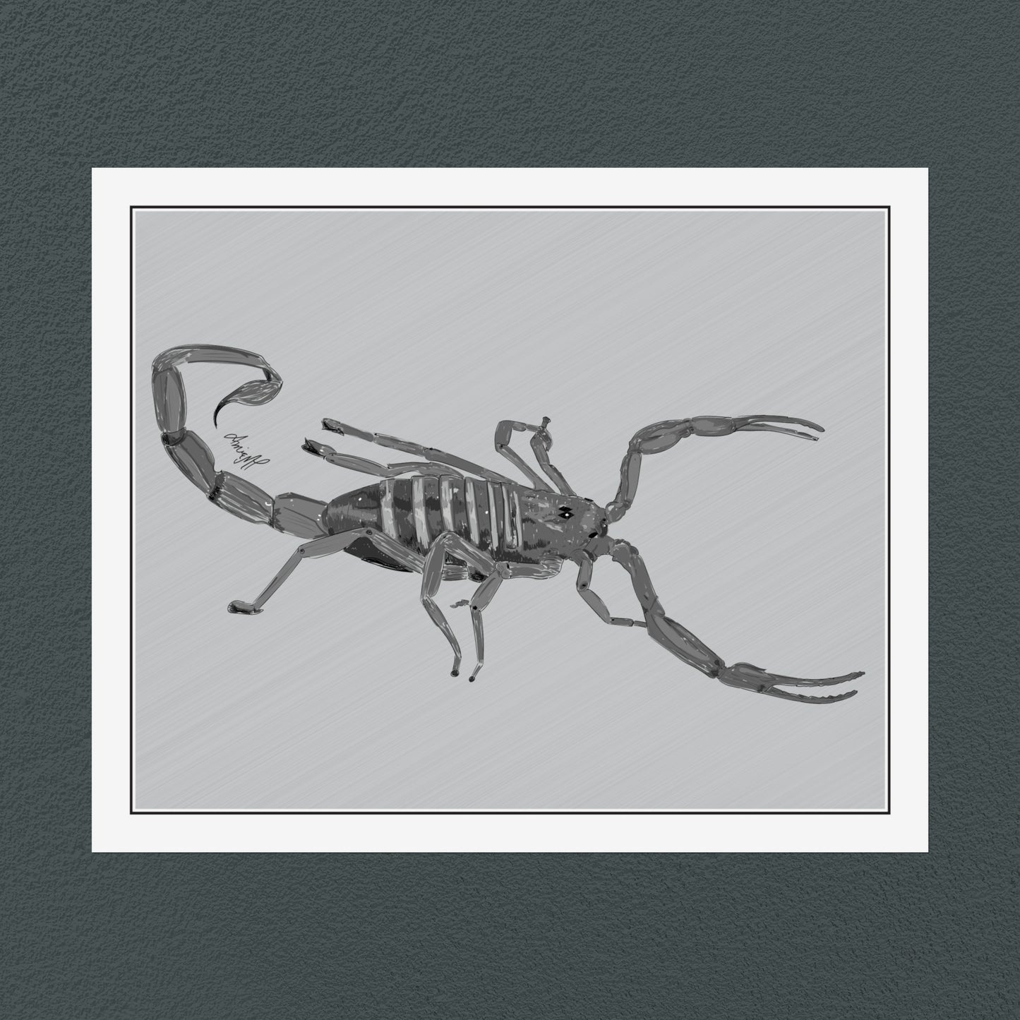 Line Art Insects - Bark Scorpion Art Print, available in 19 sizes