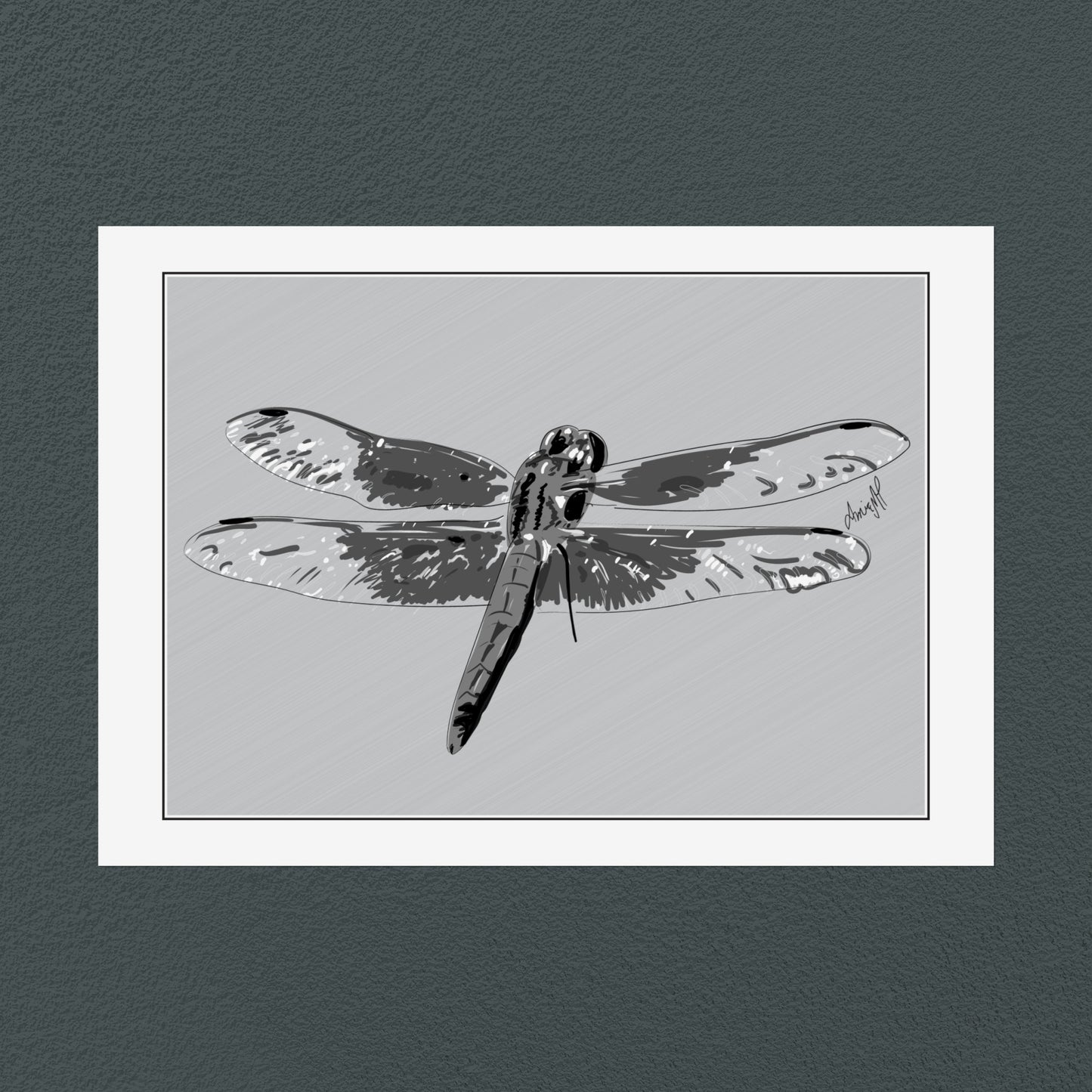 Line Art Insects - Dragonfly Art Print, available in 19 sizes