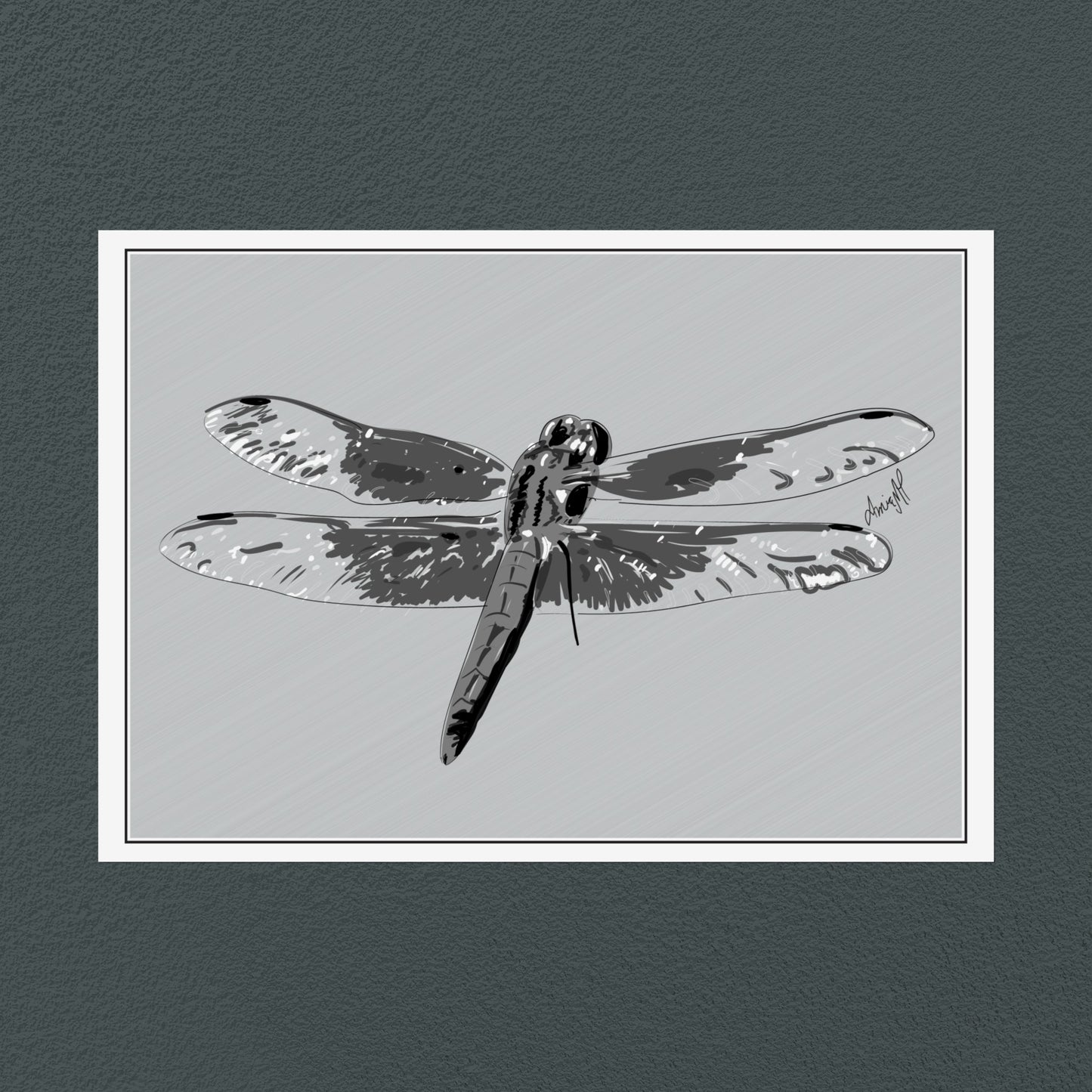 Line Art Insects - Dragonfly Art Print, available in 19 sizes