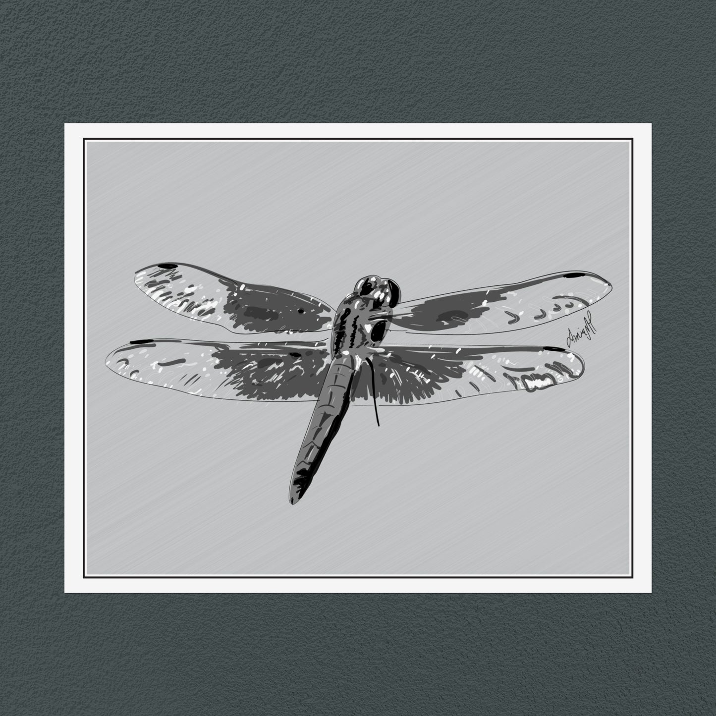 Line Art Insects - Dragonfly Art Print, available in 19 sizes