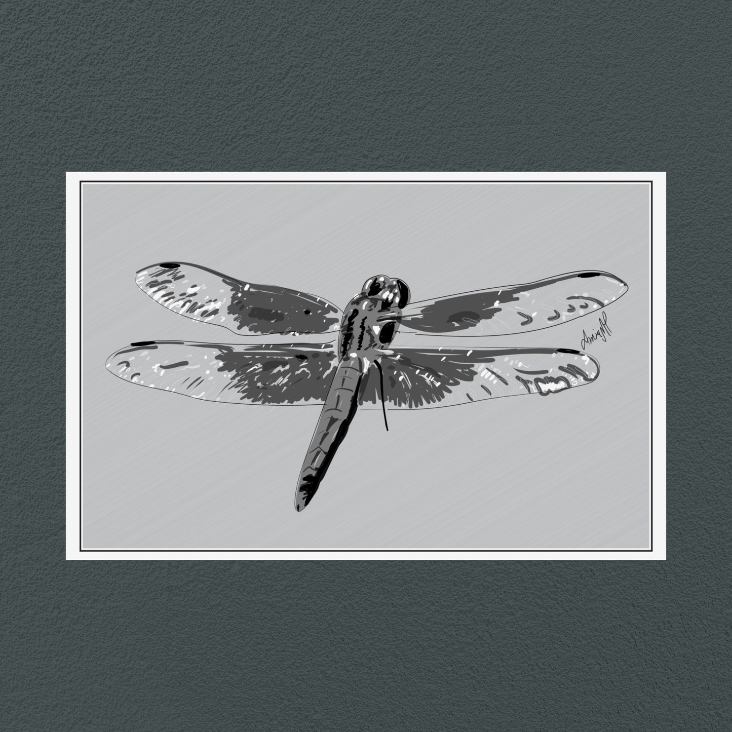 Line Art Insects - Dragonfly Art Print, available in 19 sizes