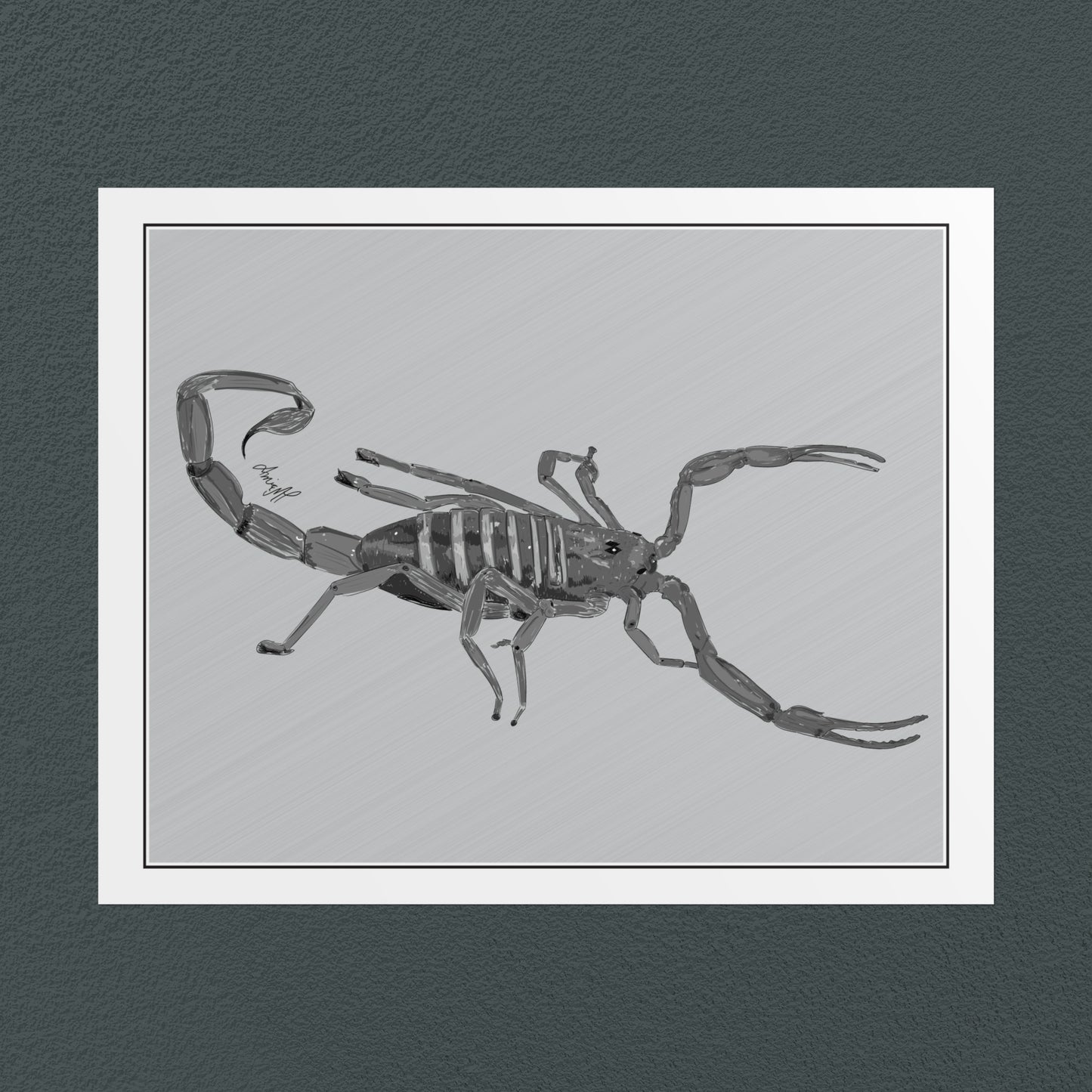 Line Art Insects - Bark Scorpion Art Print, available in 19 sizes