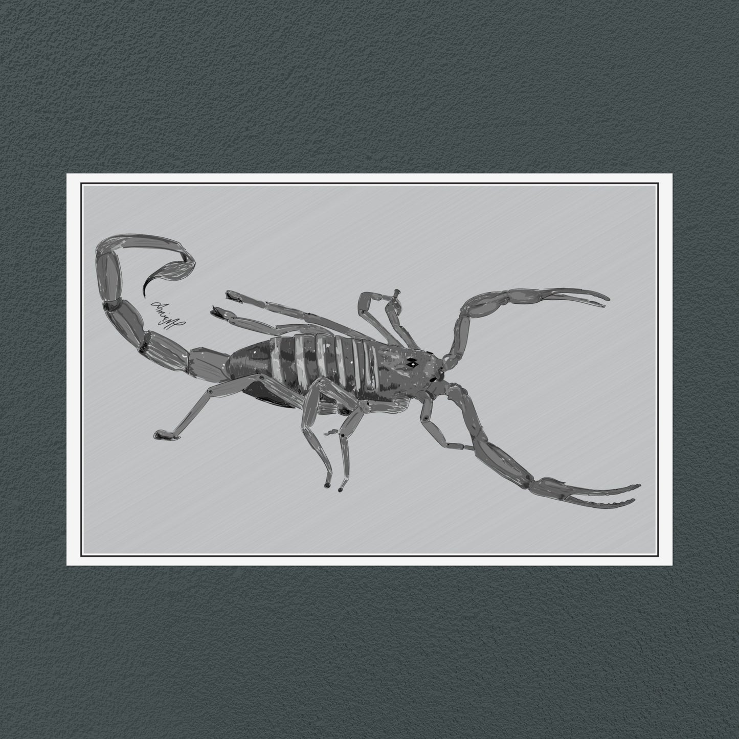 Line Art Insects - Bark Scorpion Art Print, available in 19 sizes