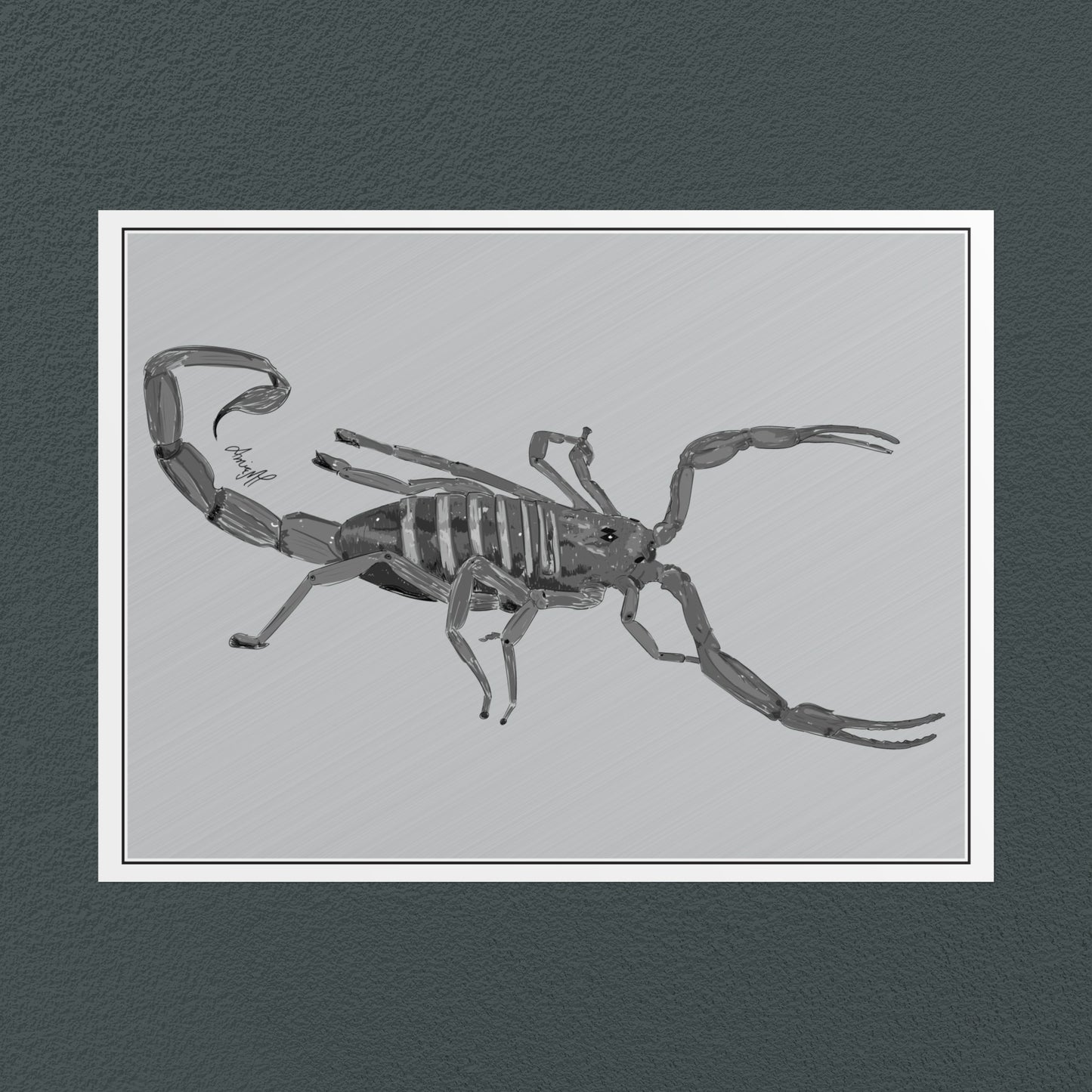 Line Art Insects - Bark Scorpion Art Print, available in 19 sizes