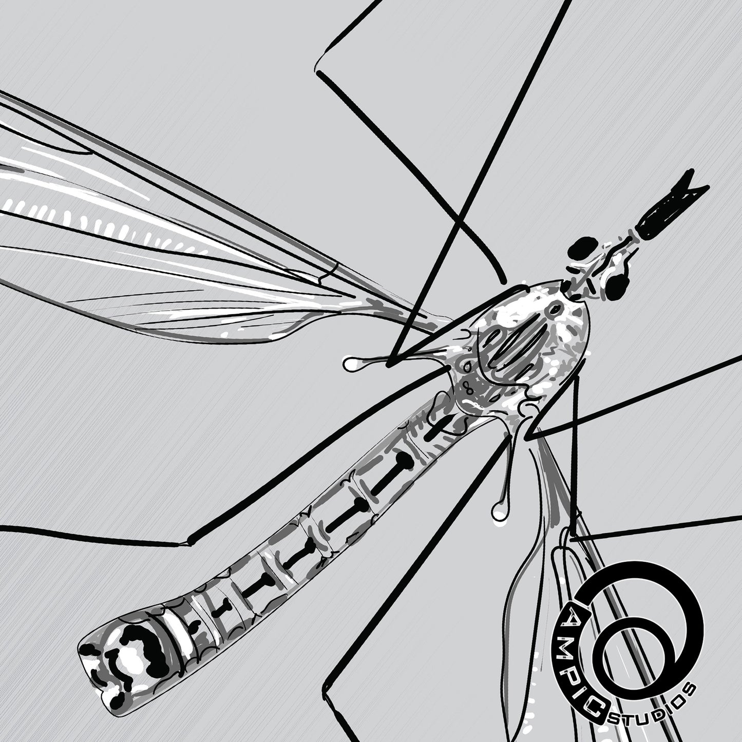 Line Art Insects - Mosquito Vertical Print, 19 sizes